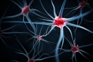 Introdução à Biologia Celular