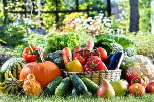 Jardinagem e Horticultura